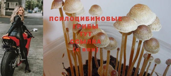 альфа пвп Нязепетровск