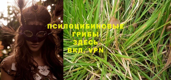 mdpv Балашиха