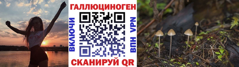 Псилоцибиновые грибы мицелий Семикаракорск