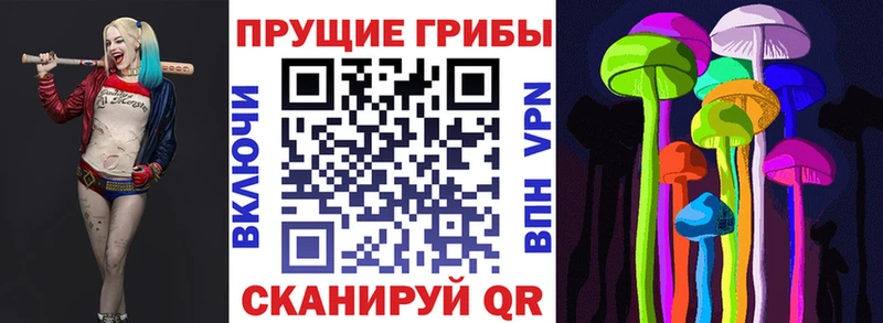 как найти закладки  Семикаракорск  Галлюциногенные грибы прущие грибы 